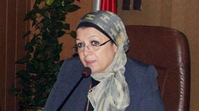 «نصر»: إنشاء المراكز البحثية يخضع لقوانين وقواعد منظمة