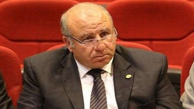 برلماني: شائعات السوشيال ميديا يغذيها الخبثاء