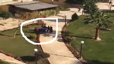 إنقاذ طفلة من هجوم كلاب شرسة بالتجمع الأول