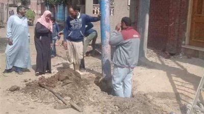 إحلال وتجديد كشافات الإنارة وأعمدة الكهرباء بمحافظة البحيرة