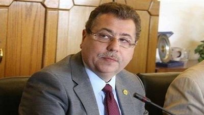 برلماني : «صندوق مصر السيادي» وسيلة مثالية لسد عجز الموازنة