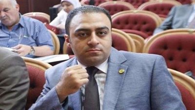 نائب المحلة يتقدم بطلب إحاضة ضد وزيرة الصحة بسبب تدني قطاع الصحة