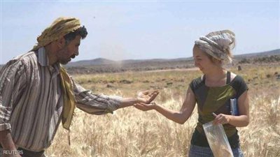 أقدم قطعة خبز في العالم.. موجودة بدولة عربية