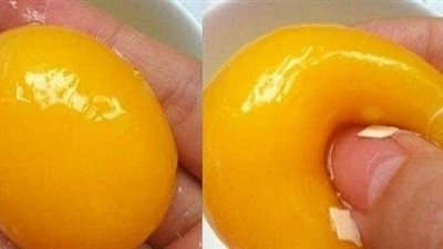 نائب وزير الزراعة تكشف حقيقة البيض البلاستيك