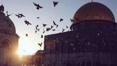 وكيل البرلمان: السلام لن يقوم إلا على العدل ولا بد من اعتراف إسرائيل بالقدس