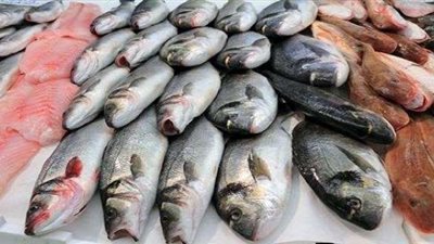 «السمك البلاستيك».. آخر الشائعات المُضحكة بين رواد السوشيال ميديا