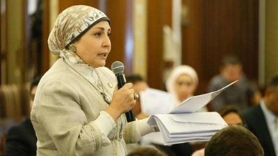 برلمانية تطالب باستحداث وزارة جديدة للمشروعات الصغيرة