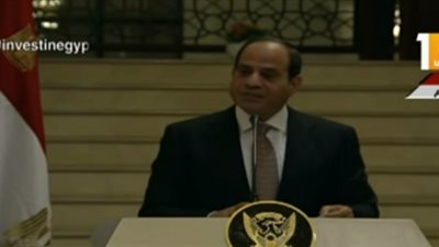 السيسي يوجه رسالة لإثيوبيا وإريتريا وجنوب السودان (فيديو)