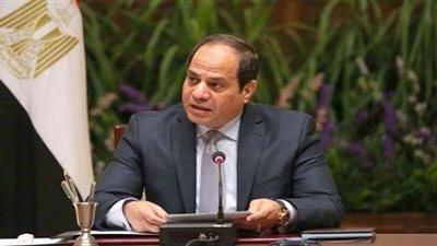 السيسي : أمن الجوار الإقليمي عنصر أساسي في ثوابت سياسة مصر الخارجية (فيديو)