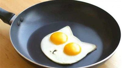 أشعة الشمس الحارقة تقلي البيض في الجزائر.. (فيديو)