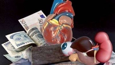 3 شائعات صدقها الشعب.. والحكومة تنفي سرقة الأعضاء ومرض الخبز