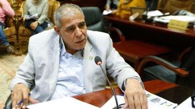 برلماني يطالب الحكومة بتنفيذ توجيهات الرئيس بإصلاح مظومتي «الصحة والتعليم»