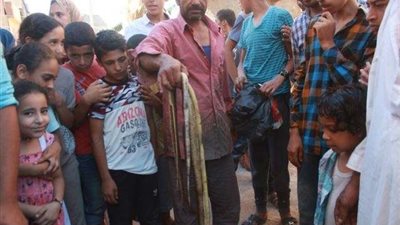 الزواحف السامة تفرض «حظر تجوال» على الصغار والكبار فى «منية سعيد»