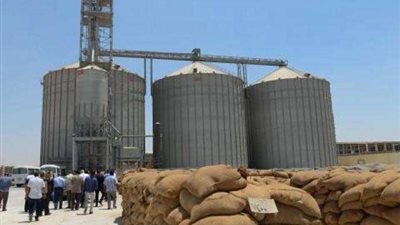 الفيوم.. ضبط ٨ آلاف كيلو قمح قبل تهريبه للسوق السوداء بطامية