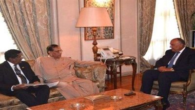 بالصور..وزير الخارجية يبحث تعزيز العلاقات الثنائية مع رئيس البرلمان السريلانكي