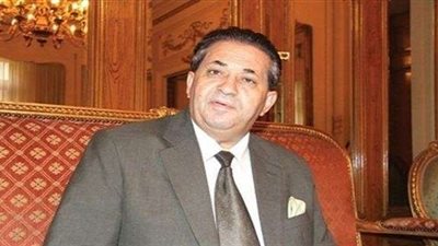 «هيكل» يطالب بإنشاء مستشفى عام بالمرج