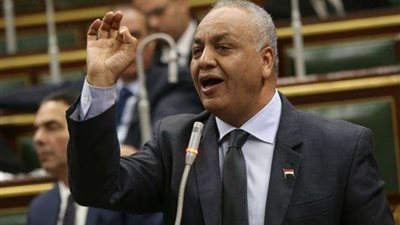 «بكري»: برنامج الحكومة يقضي على 3.5 مليون عاطل