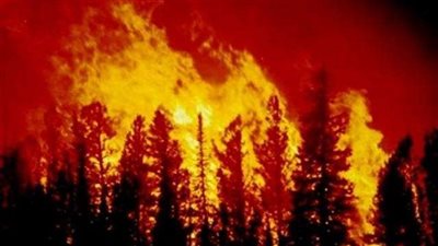 حكومة اليونان تعلن عن شبهة إجرامية وراء حرائق الغابات