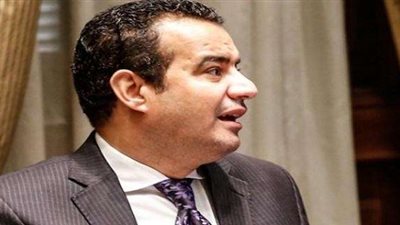 ”إدريس”: مبادرة الرئيس بداية لانطلاق تطوير الصعيد