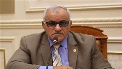 برلماني: الخلفية السياسية والحنكة أبرز سمات المحافظين الجدد
