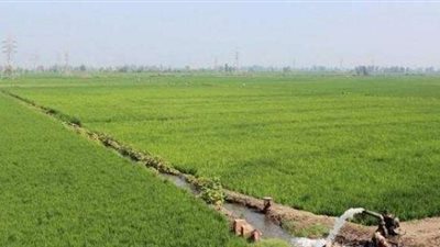 تخصيص 63 ألف فدان غرب المنيا بـ 39 ألف جنيه