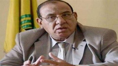 رئيس اتحاد الجمعيات الأهلية: الدستور منح «ذوي الإعاقة» حقوقًا غير مسبوقة