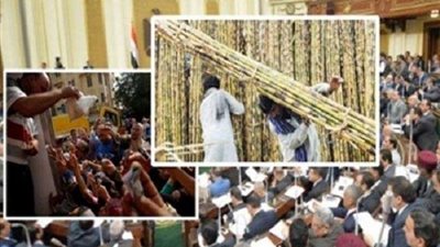 «اجتماعات الشهور العشرة»... لـ«زراعة البرلمان» فى سطور