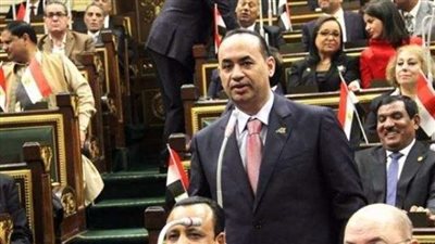 برلماني يطالب بصندوق سيادي خاص بالأمن الغذائي للمصريين