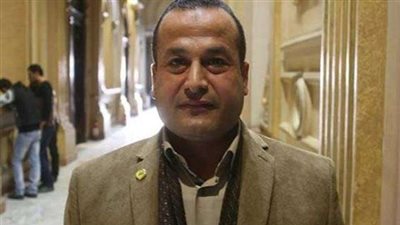 برلماني عن مؤتمر الشباب: ضربة لكافة المواقع المروجة للشائعات