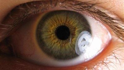 بالأسماء.. حالات زرع قرنية العين على نفقة الدولة