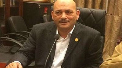 عضو «حقوق البرلمان»: شائعات المنظمات الأجنبية سلاح جديد للنيل من مصر