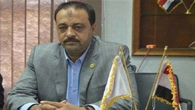 عضو«دفاع البرلمان»: المنظمات الأجنبية تعمل لمصالحها الشخصية