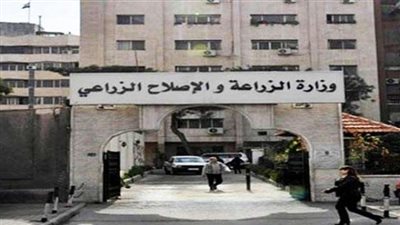 ارتفاع المساحات المزروعة بالمحاصيل الصيفية لـ12 محصولاً