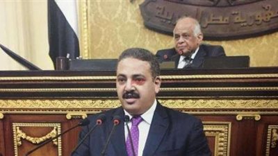 برلماني: الاهتمام بالتعليم الطريق الوحيد لبناء الشخصية المصرية