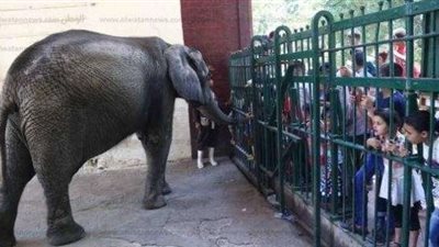 «برلمانى» يطالب الحكومة بإعادة حديقة حيوان الجيزة للتصنيف الدولي استنكر ا