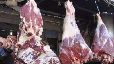 حماية المستهلك والإرشاد بالفيوم تطرح كيفية شراء لحوم عيد الأضحى