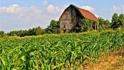 حملات أمنية مكبرة لضبط قاتل مزارعين في الفرافرة