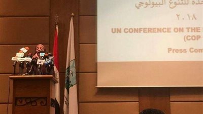 «التنوع البيولوجي».. انطلاق المؤتمر الصحفي للحملة الإعلانية للأمم المتحدة