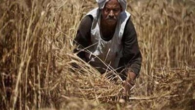 ”الزراعة” تفجر أزمة جديدة وتستفز الفلاحين.. والمزارعين يكشفون المخفي في تصريحات الوزراة