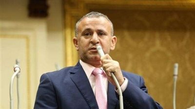 برلماني يرفض مساندة قطر لكندا ضد السعودية: «الدوحة تقود الإرهاب»