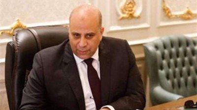 برلماني: المشروعات القومية تجذب الاستثمار