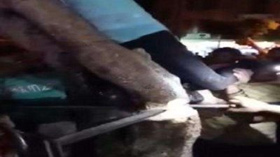 بالفيديو.. إنقاذ طفلة علقت قدمها بين فروع شجرة بحديقة قصر عابدين