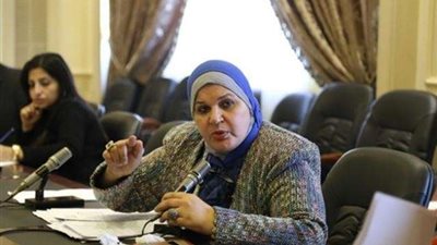 برلمانية تشيد بالحملة الإعلانية لمواجهة مكافحة الشائعات