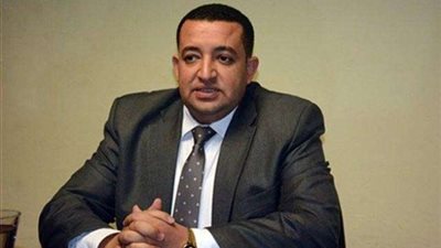 برلماني عن مشروعات بني سويف: تعافي الاقتصاد من الأزمات