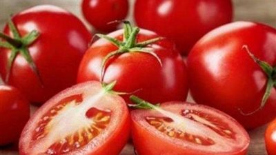 الفلاح الفصيح: التقاوي المستورده لا تخضع إلا لتجارب الإنبات والفطريات فقط