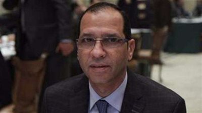 برلماني: مباردة ”فرصة” محاولة للقضاء على البطالة