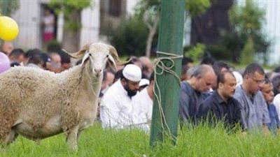 محافظة الجيزة تُخصص 476 ساحة لصلاة عيد الأضحى