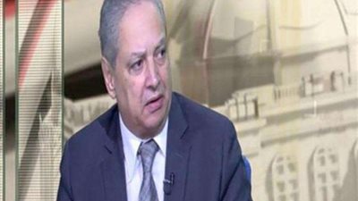 أستاذ علوم سياسة: الاندماج حل لتواجد الأحزاب على أرض الواقع