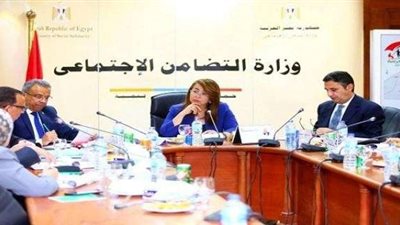 «والى»: 2.641 مليار جنيه نفقة للمطلقات