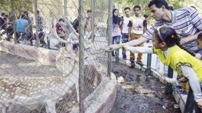 تعرف علي سعر تذكر حديقة الحيوان في أول أيام العيد